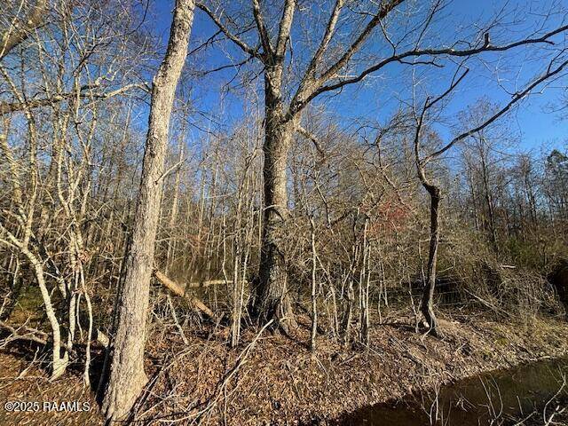 Washington, LA 70589,Heard Sylvester RD