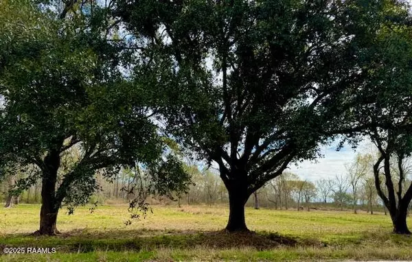 Iota, LA 70543,Tbd 5th Street (Tract 3)