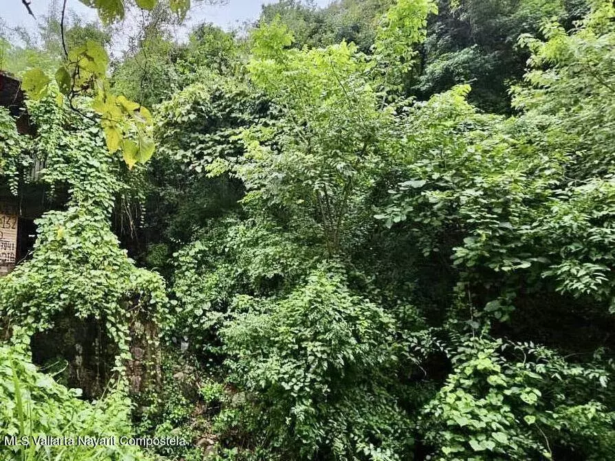 Puerto Vallarta, JALISCO,512 Arroyo del pedregoso