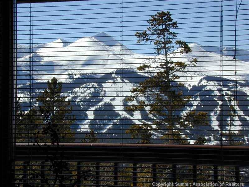 56 VIEW LN #7F, B R E C K E N R I D G E, CO 80424