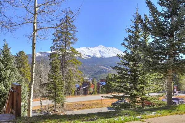 B R E C K E N R I D G E, CO 80424,1001 Grandview DR #9