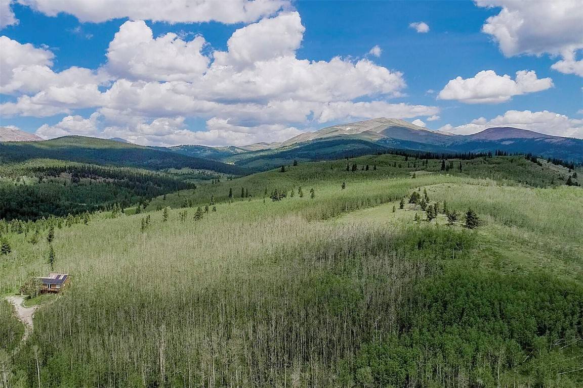 TBD Little Baldy CIR, F A I R P L A Y, CO 80440