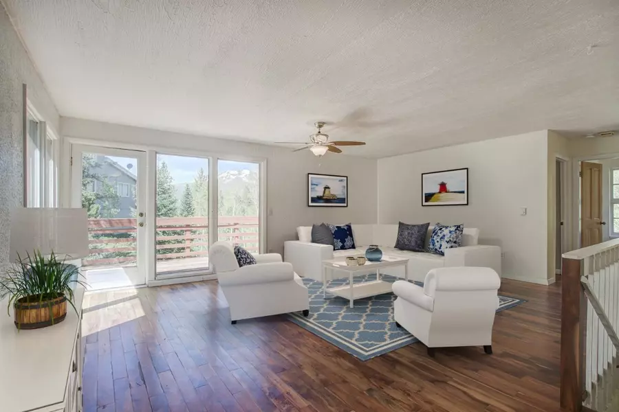 347 DEER PATH RD, D I L L O N, CO 80435