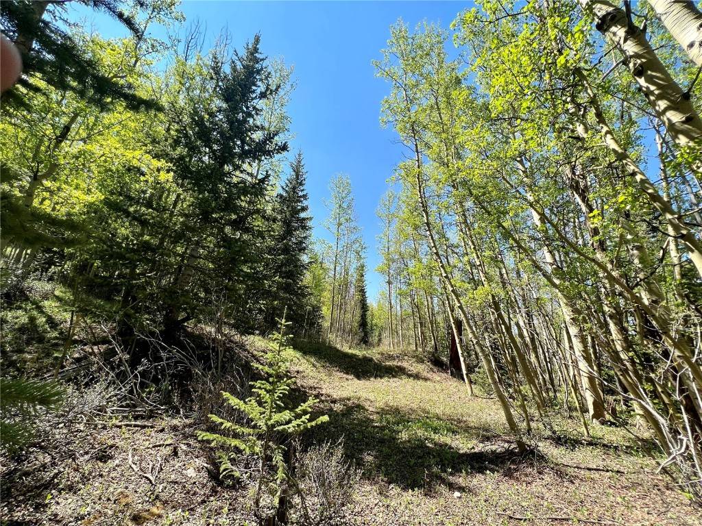 A L M A, CO 80420,529 Roberts RD