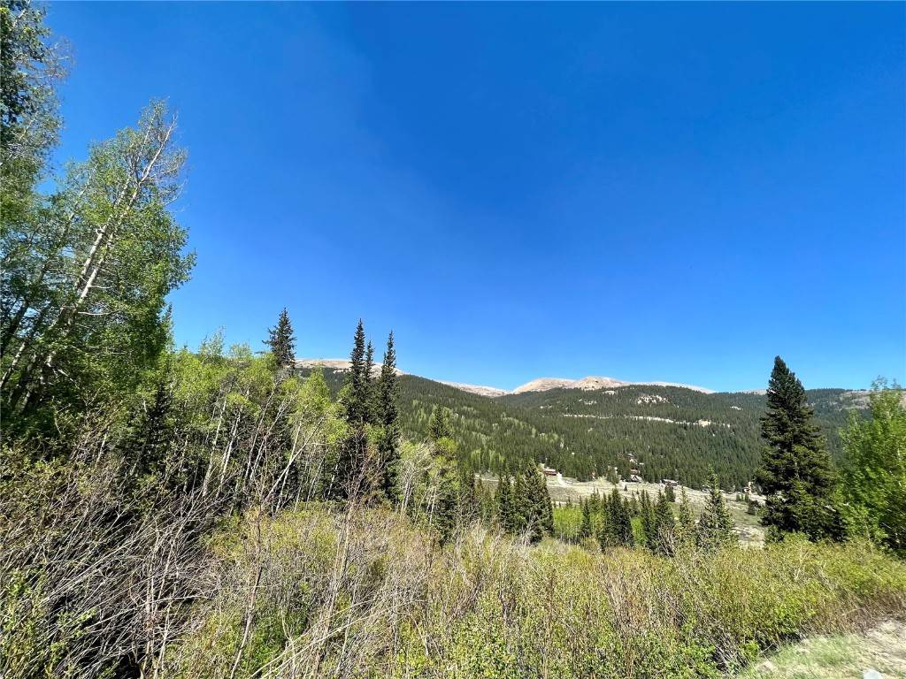 A L M A, CO 80420,529 Roberts RD