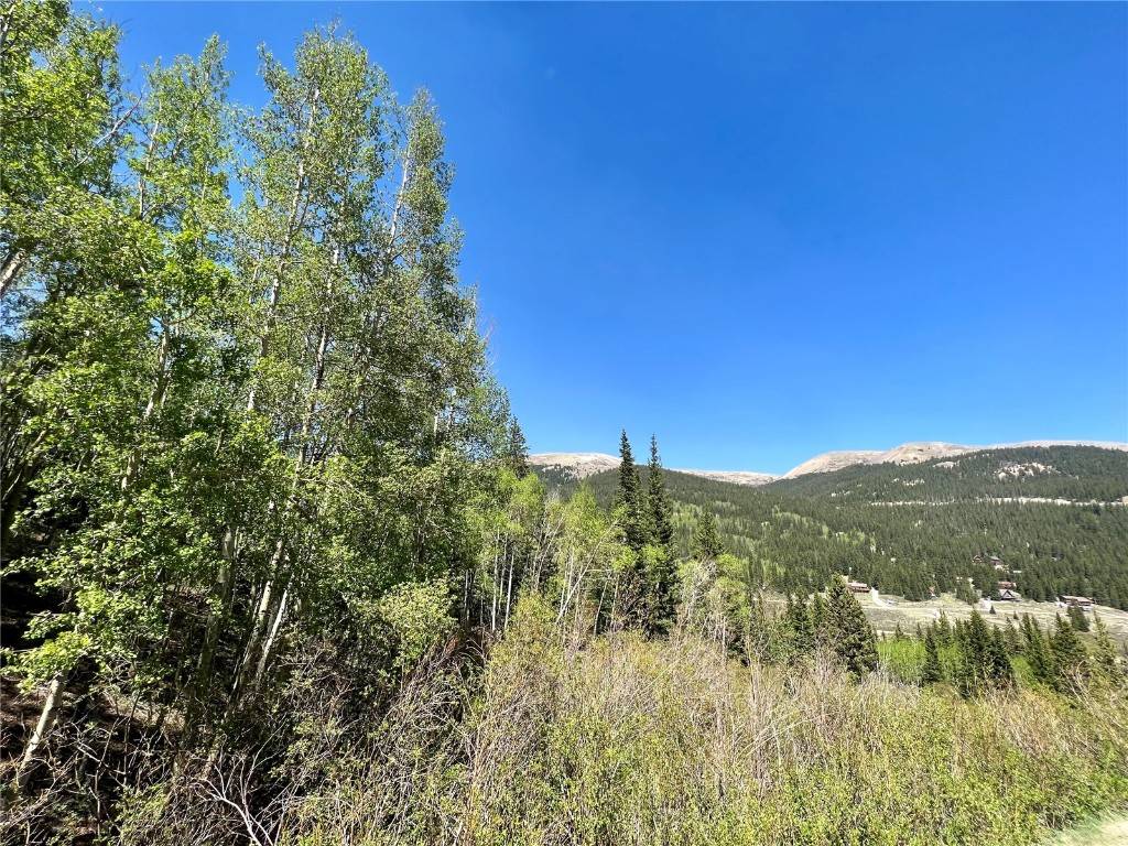 A L M A, CO 80420,529 Roberts RD