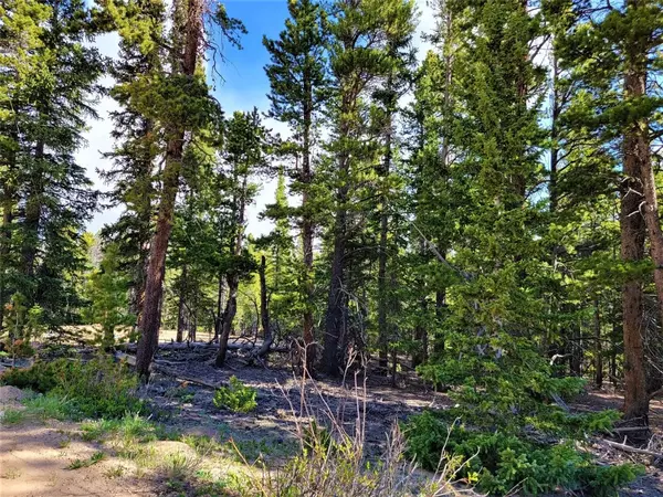 F A I R P L A Y, CO 80440,1634 Bobcat LN