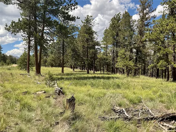 1970 Singletree RD, H A R T S E L, CO 80449