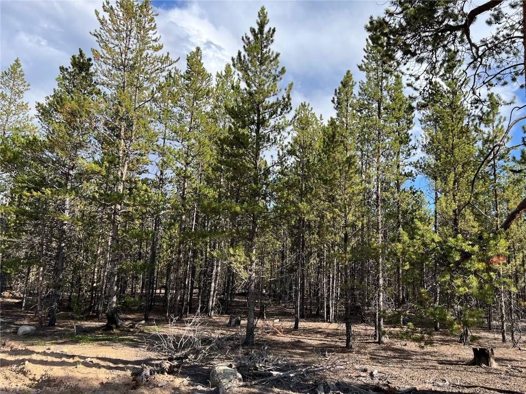 284 Aspen DR, T W I N  L A K E S, CO 81251