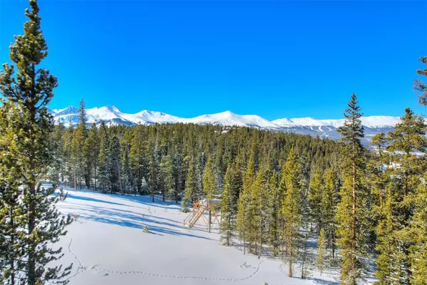 B R E C K E N R I D G E, CO 80424,115 Sallie Barber RD