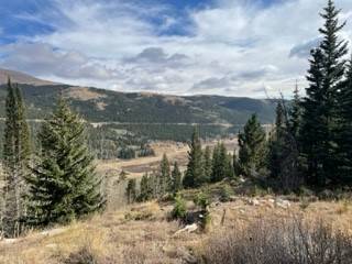 A L M A, CO 80420,1257 Roberts RD