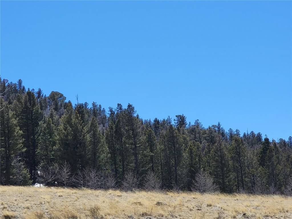 H A R T S E L, CO 80449,0 Camelot DR