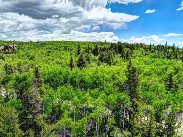 F A I R P L A Y, CO 80440,0 Platte River CT