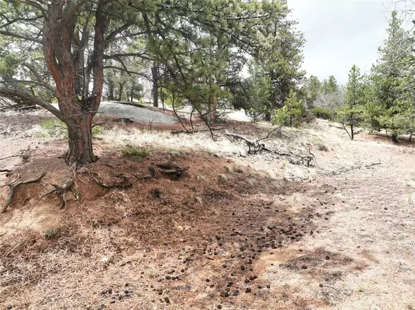 Florissant, CO 80816,255 Pinon LN