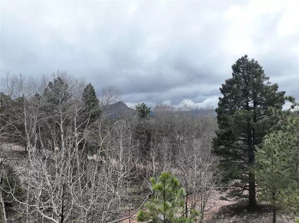 Florissant, CO 80816,255 Pinon LN