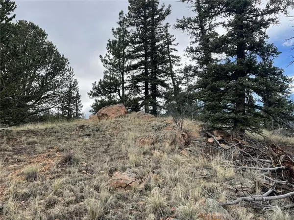C O M O, CO 80432,150 Matchlock WAY