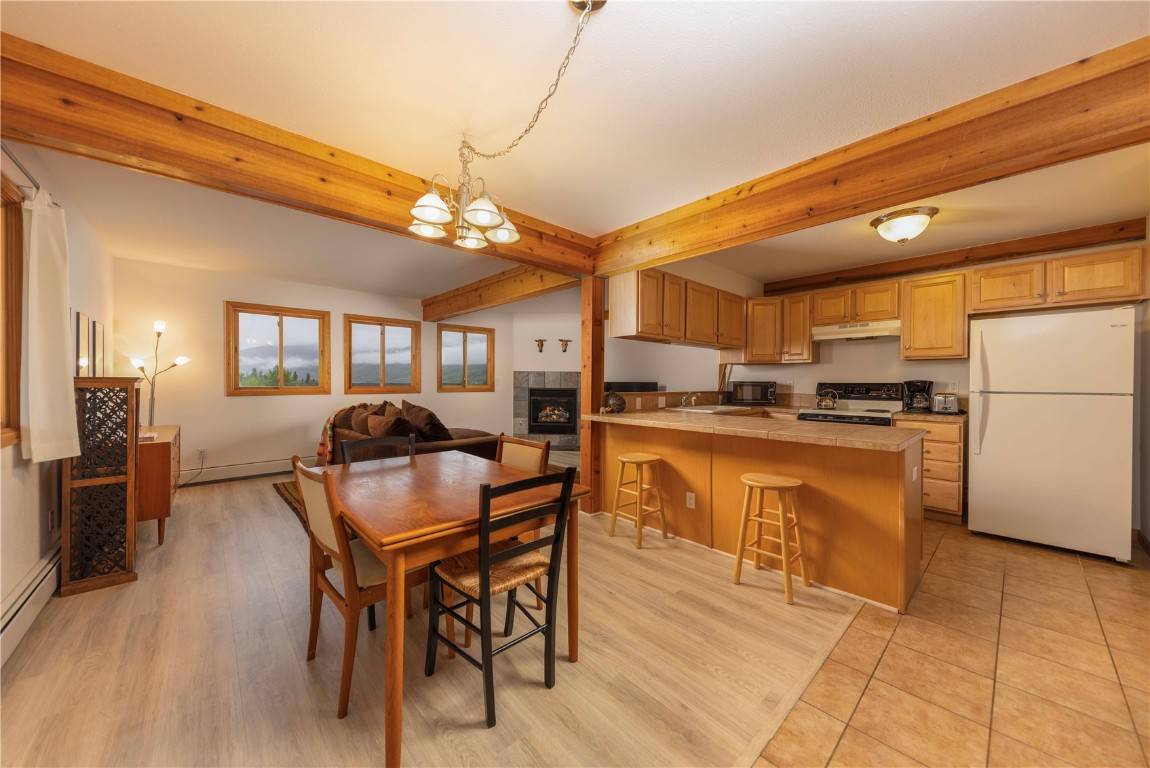 108 Salt Lick CIR #110, S I L V E R T H O R N E, CO 80498