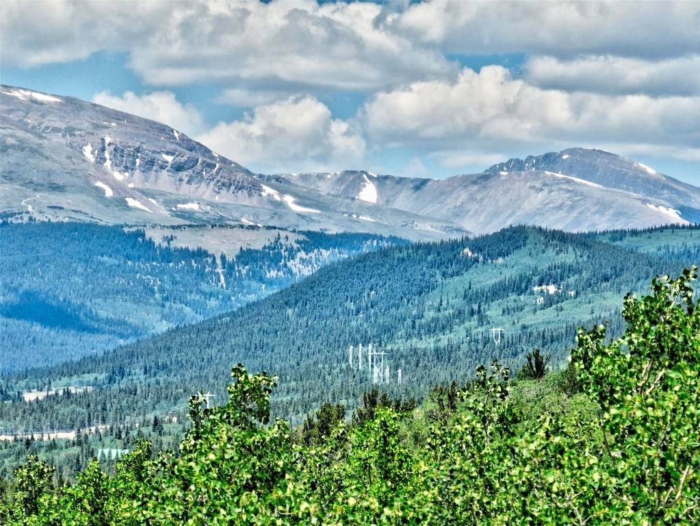 A L M A, CO 80420,0 Ponderosa RD
