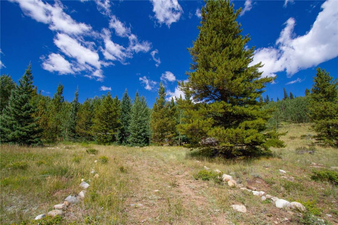 1147 County Road 1, A L M A, CO 80440