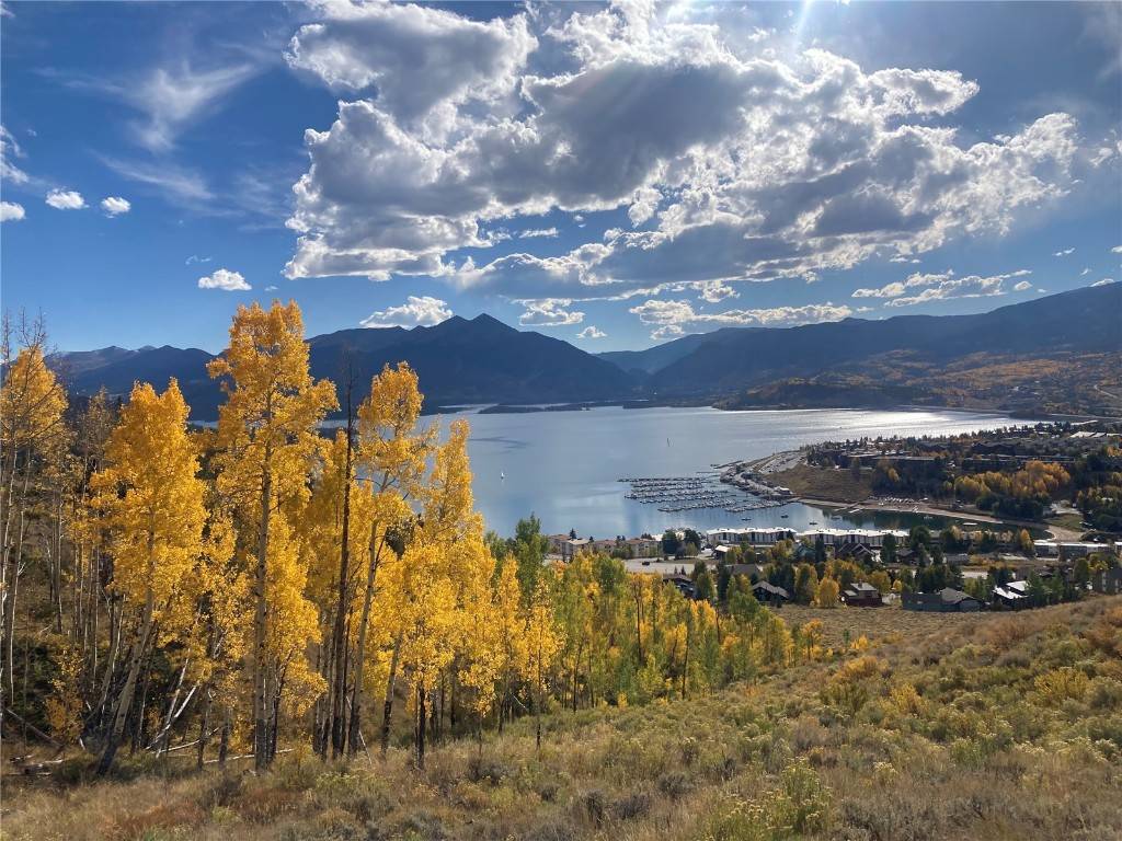 D I L L O N, CO 80435,132 Alpine RD