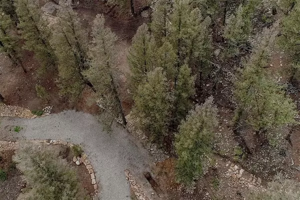 Fairplay, CO 80440,225 Trout Creek RD
