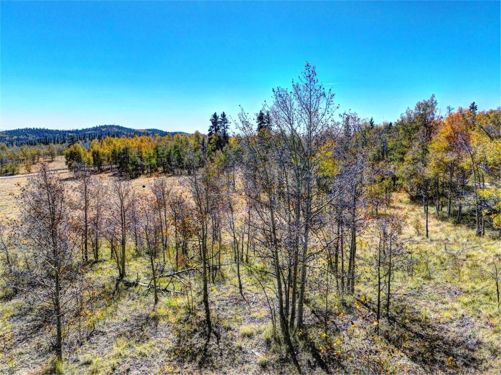 C O M O, CO 80432,74 Antelope CIR