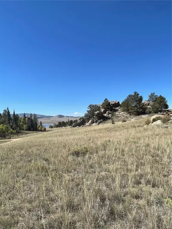 L A K E G E O R G E, CO 80827,274 Whale DR