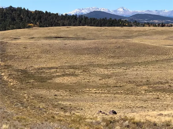 Hartsel, CO 80449,3036 Jumano TRL