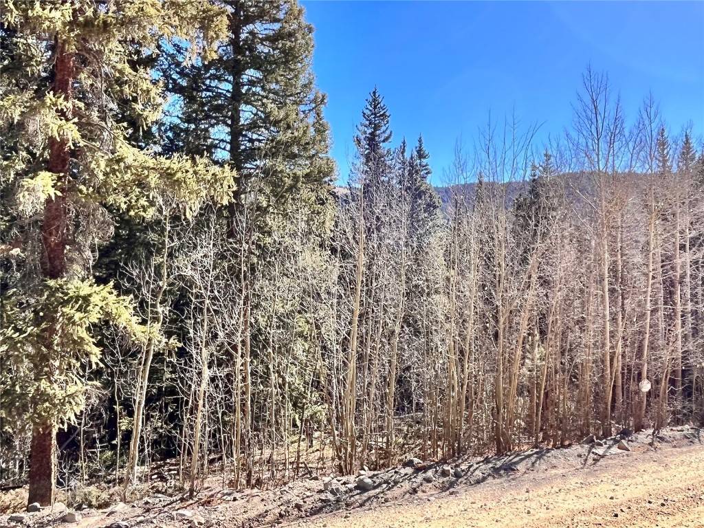 642 Quartzville RD, A L M A, CO 80420