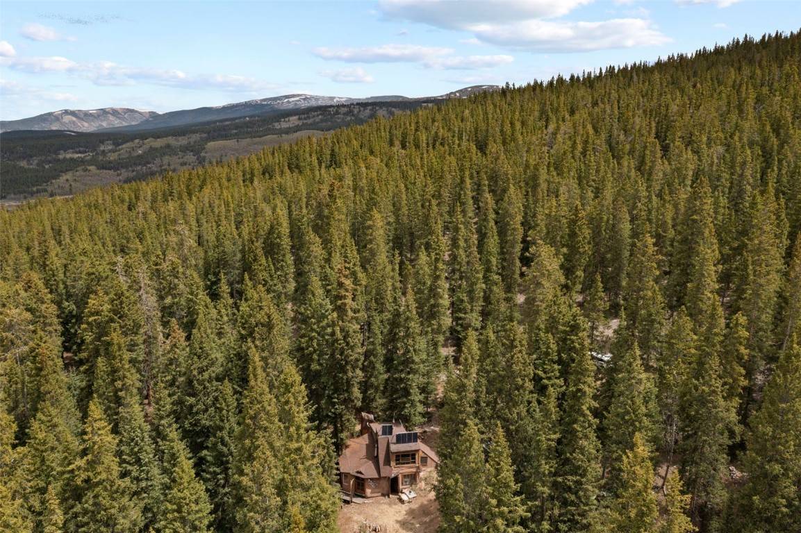 Leadville, CO 80461,6020 WOODLAND & FORRESTER