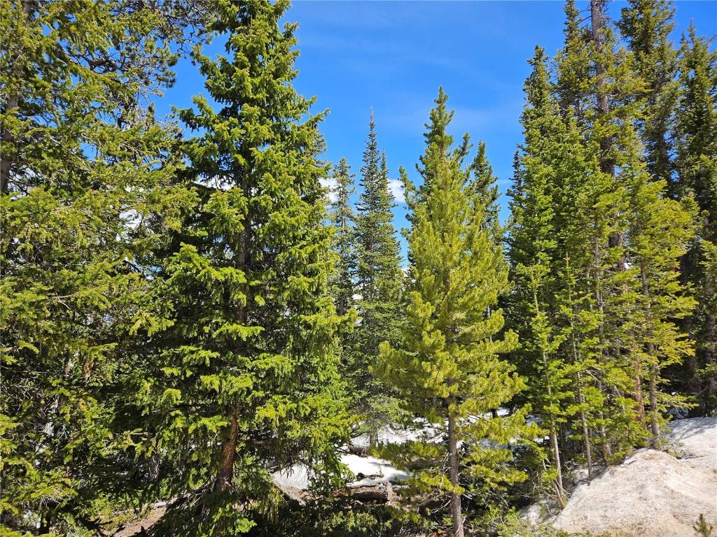 Fairplay, CO 80440,1186 Bobcat LN