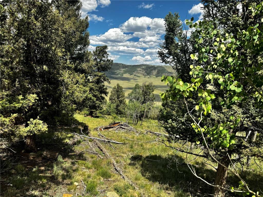 5366 Middle Fork Vista, Fairplay, CO 80440