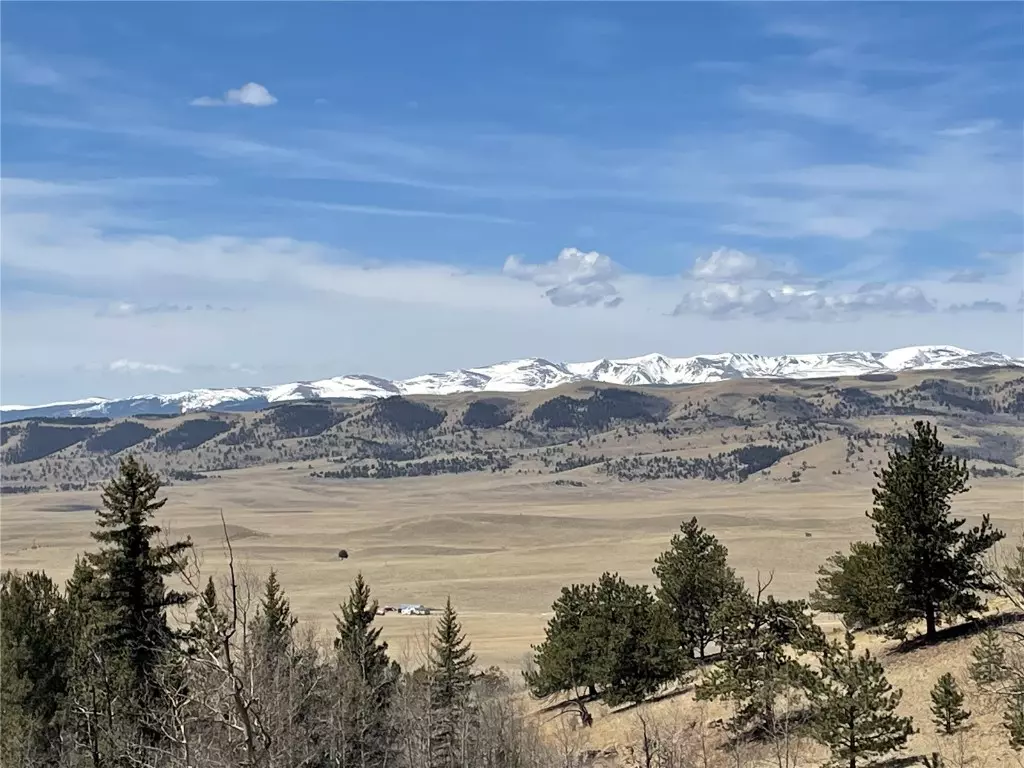 C O M O, CO 80432,1311 Caracara LN