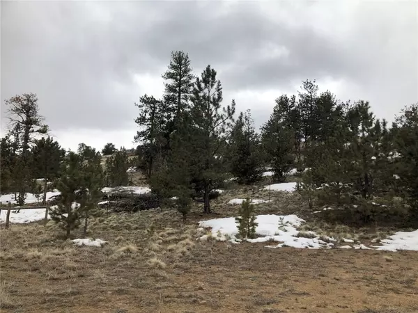 Hartsel, CO 80449,133 Joyce LN
