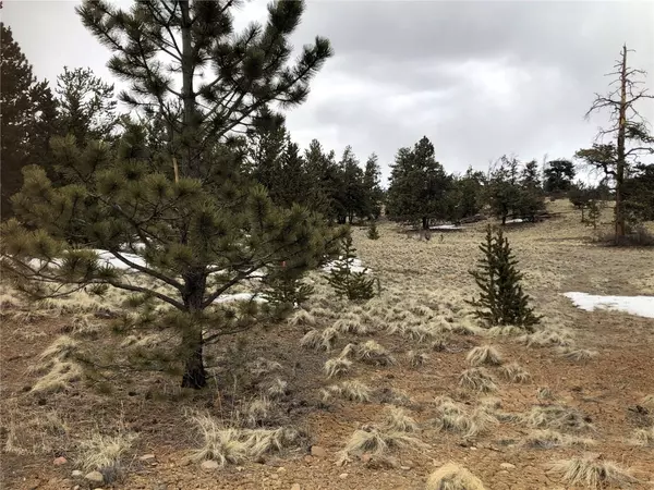 Hartsel, CO 80449,133 Joyce LN