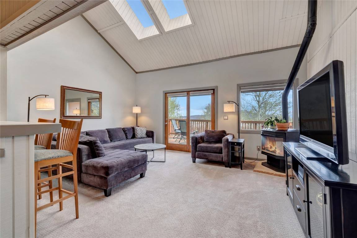 23055 Schussmark TRL, Oak  Creek, CO 80467