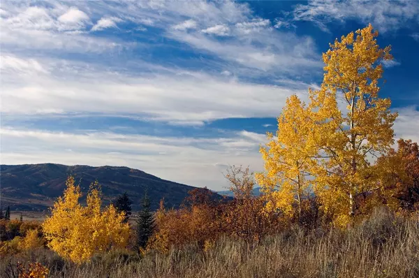 Steamboat  Springs, CO 80487,34460 Panorama DR