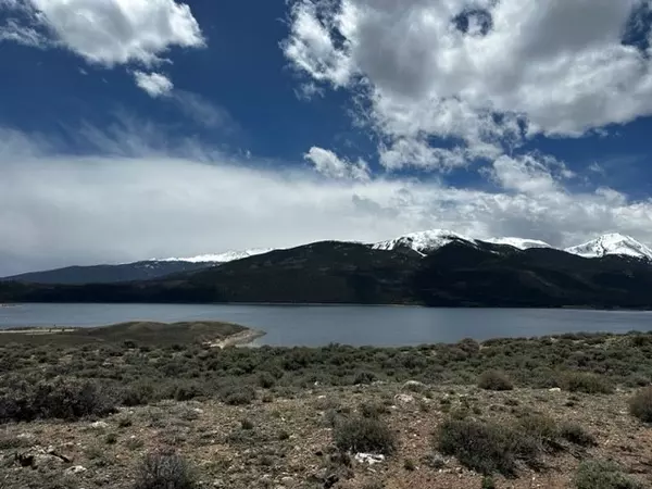 Twin Lakes, CO 81251,331 Mount Hope DR