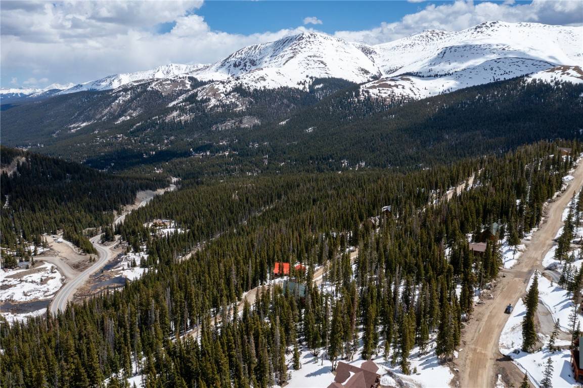Breckenridge, CO 80424,356 Hamilton LN