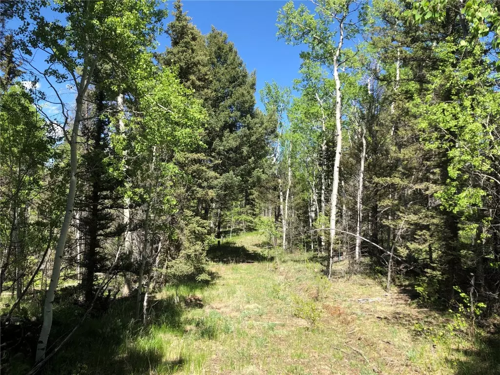 Guffey, CO 80820,77 Timberline CT