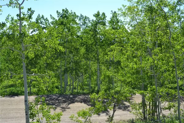 Clark, CO 80428,57850 Longfellow WAY