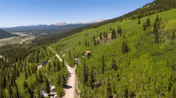 Alma, CO 80440,1255 Quartzville RD