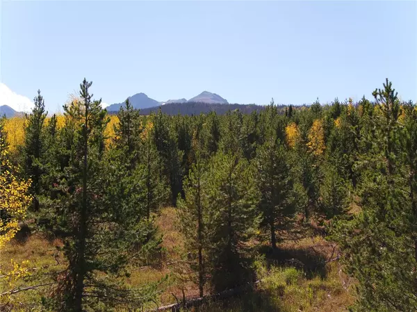 Silverthorne, CO 80498,TBD Whetstone Drive #4