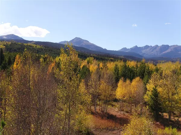 Silverthorne, CO 80498,TBD Whetstone Drive #4