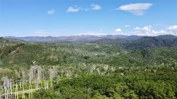 Clark, CO 80428,56350 Olive ST