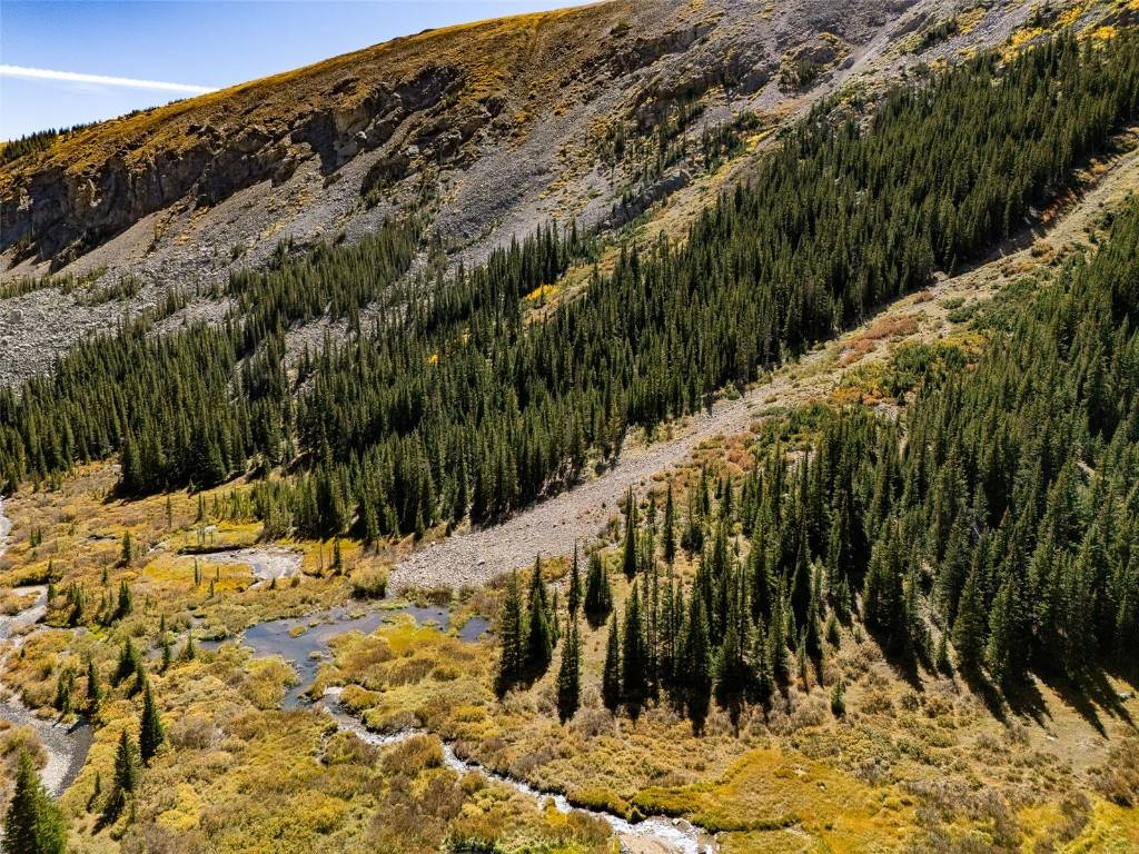 Alma, CO 80420,TBD FSR 451