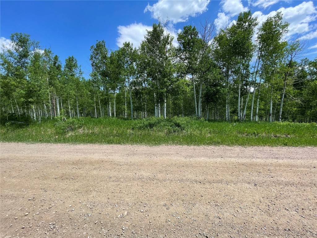 Oak  Creek, CO 80467,22608 Comanche RD