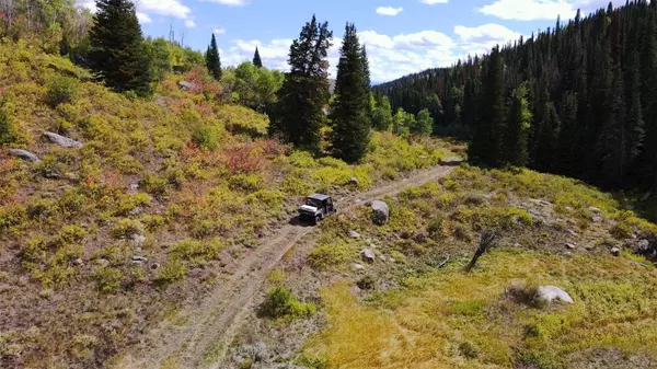 Steamboat  Springs, CO 80487,TBD RCR 50