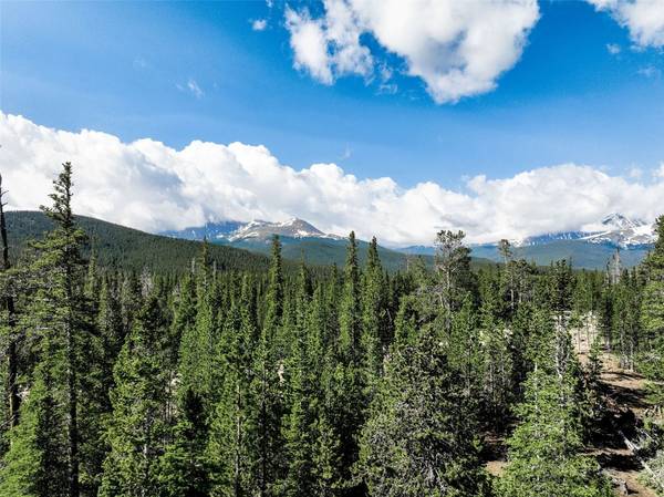 Homestead 21 Cumberland DR, Breckenridge, CO 80424