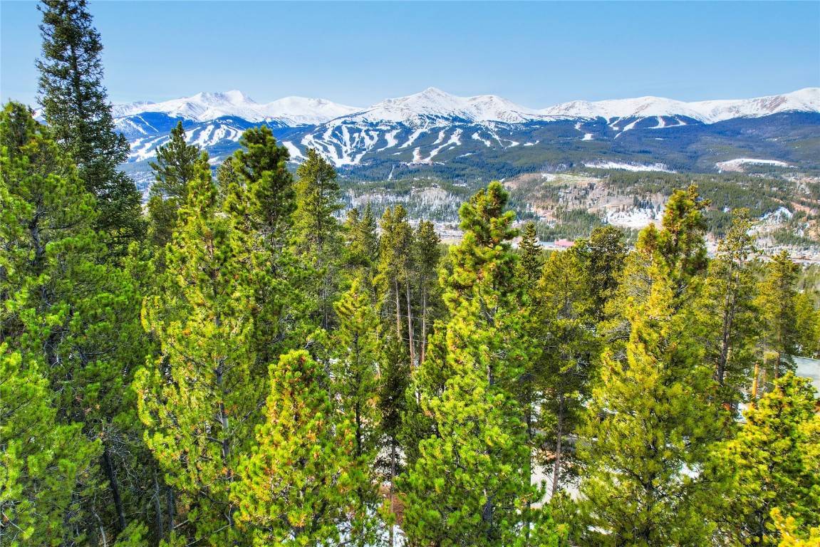 Breckenridge, CO 80424,1375 Forest Hills DR